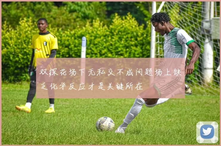 双探花场下无私交不成问题场上缺乏化学反应才是关键所在
